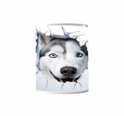 Cana Catel #45